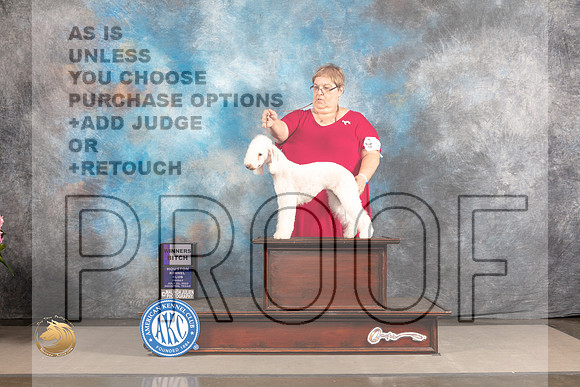 Bedlington Terrier #10 FRI WB Judge Barbara Alderman_MJ_5302_Houston_2022_HR3