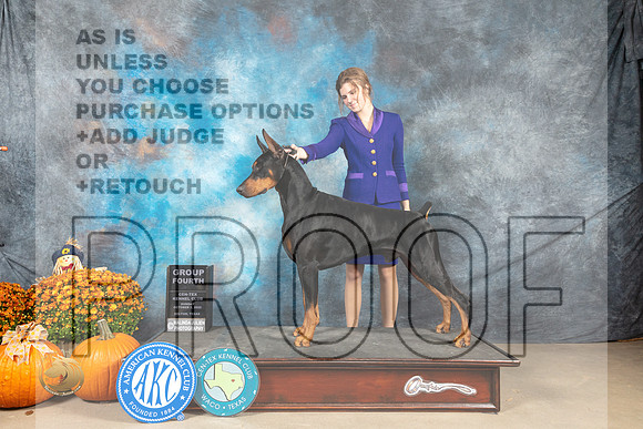 Doberman Pinscher #9 Sun G4 Judge Donnelle Richards_MJ_6825_Belton_2022_HR3