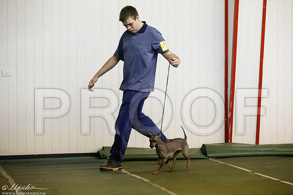 _JJ_3754-DentonMar2015-HR3