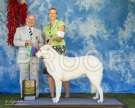 _ST_2702-AlamogordoOct2014-HR3
