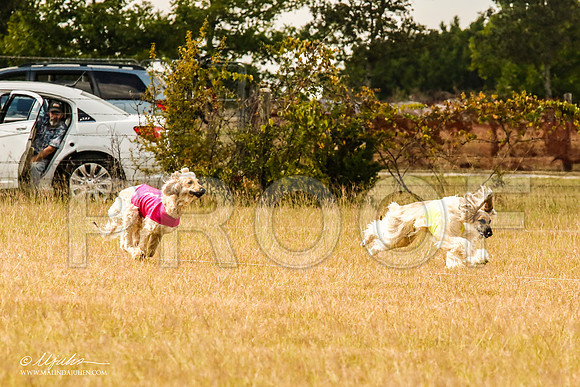_MJ_5122-AfgBeltonOct2014-HR3