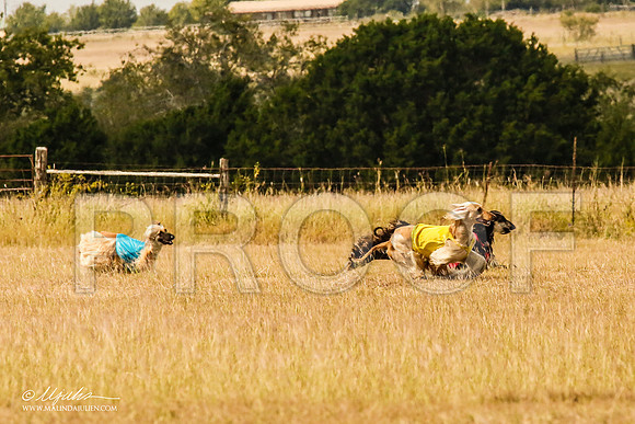 _MJ_5337-AfgBeltonOct2014-HR3