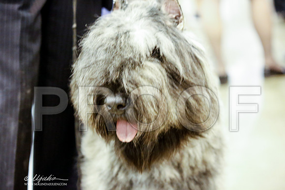 _JJ_5589-HstnJul2014-HR3