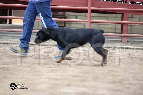 MJ2_2161-WacoFeb14-HR