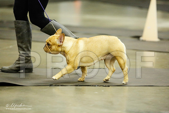 _JJ_5589-BeltonJan2015IABCA-HR3