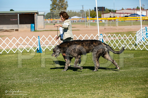 _JJ_6893-AlamogordoOct2014-HR3
