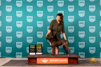 American Pit Bull Terrier #182 Fri G3 Judge Tina G4 Judge Will