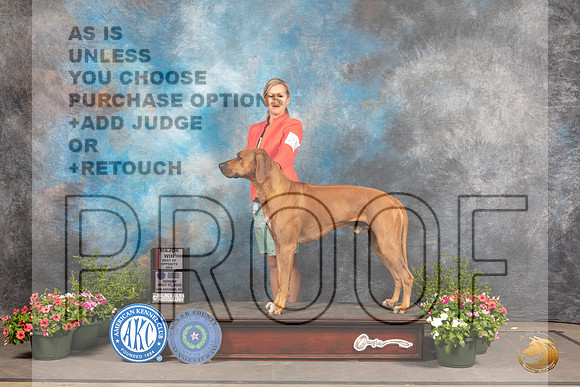 Rhodesian Ridgeback #25 SD Judge Michael Canalizo_MJ_0798_SA_2022_HR3