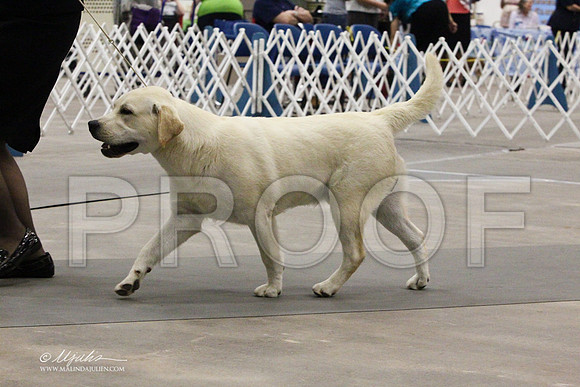 lab-7685LR
