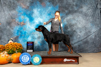 Rottweiler #7 Sun WDBOWBOS Judge Steve Keating