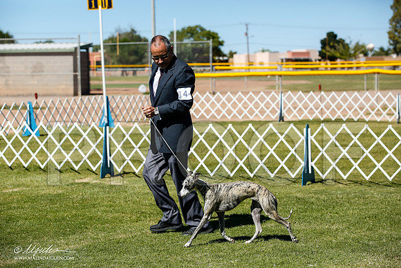 _JJ_0301-AlamogordoOct2014-HR3