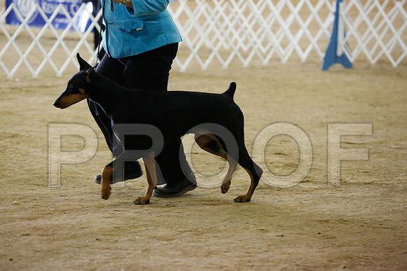 dobe-7487-HstnNov13-HR