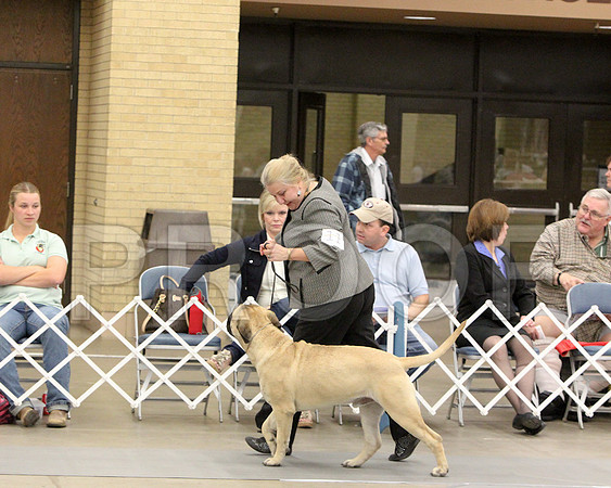 6-9PupSweeps-6520
