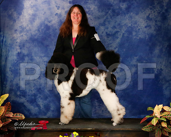 PdMC-8741-NormNov2013-HR