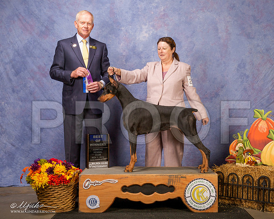 _CL_4480-SanAngelo2014-HR3