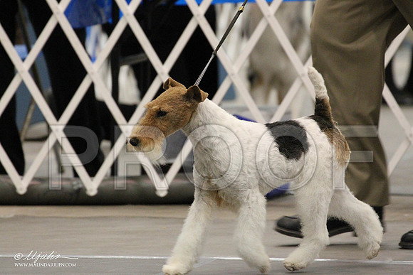 IMG_7842-Abilene2011-HR3