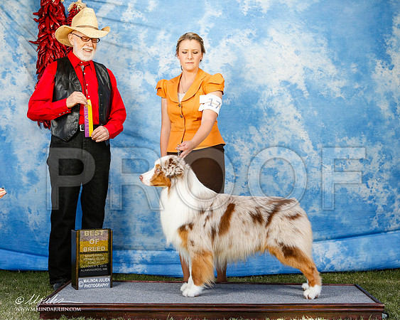 _ST_3171-2-AlamogordoOct2014-HR3