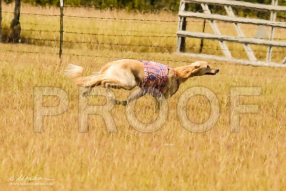 _MJ_4763-AfgBeltonOct2014-HR3