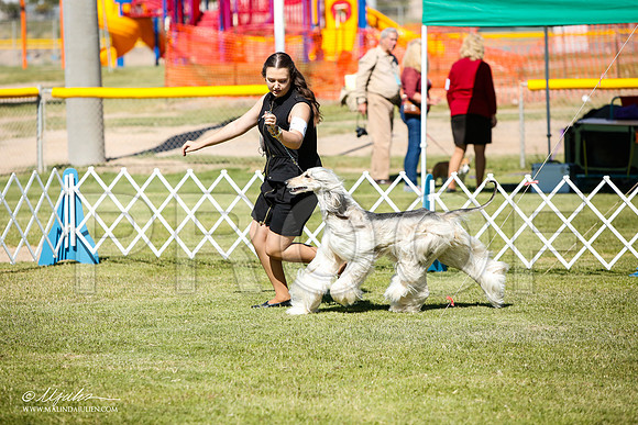 _JJ_5620-AlamogordoOct2014-HR3