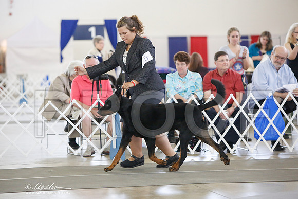 _JJ_3018-DallasJul2014-HR3