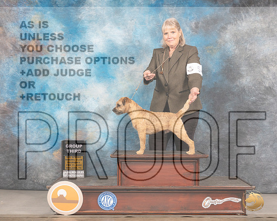 Border Terrier #5 Thurs G3 Judge Del RichardsMMJ_2632_Mdlnd2022_HR3