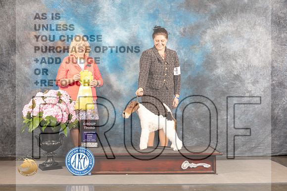 Wire Fox Terrier #5 FRI G3 Judge Karen McFarlane_MJ_5707_Houston_2022_HR3