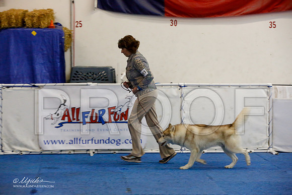 _M3_7541-AddisonHuskyMar2015-HR3