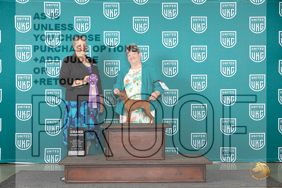 Miniature Pinscher #119 Wed GC Judge Denise Vavla__JP_0363_Premier_2024_HR3