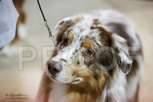 _JN_7583-ASCACollegeStationNov2014-HR3