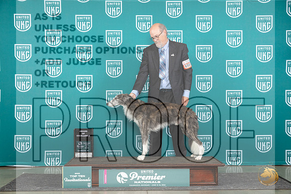 Silken Windhound #1031 Thur T10AOE Judge Deb Allen r2__JP_0989_Premier_2024_HR3