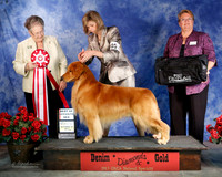 #805 Sat Best of Opposite Sex GCH Rush Hill's Drama'geddon JH Tonya & Mark Struble & Cathy Meddaugh Judge Virigina Lyne