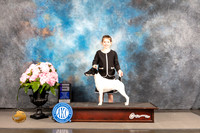 Smooth Fox Terrier #11 Sat WD Judge Barbara Alderman