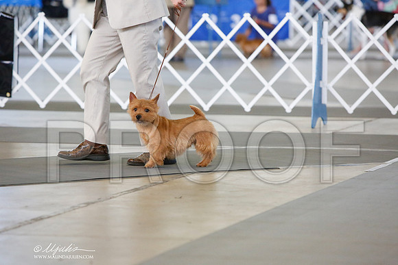_JJ_8076-DallasJul2014-HR3