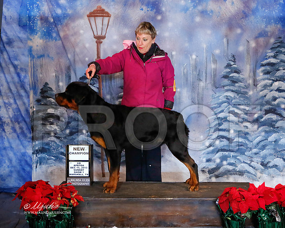 rott-6499-MrshlDec13-HR