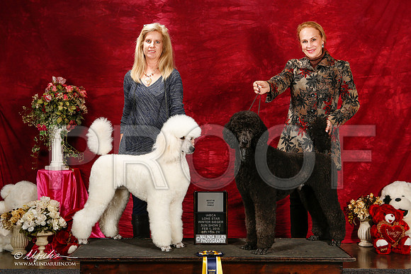 _ST_3037-2-BeltonJan2015IABCA-HR3