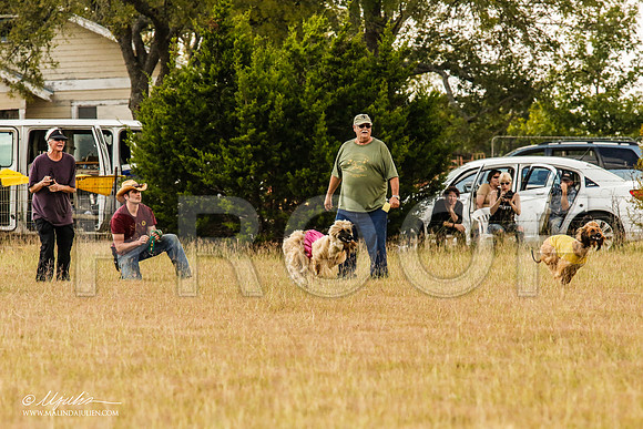 _MJ_5029-AfgBeltonOct2014-HR3