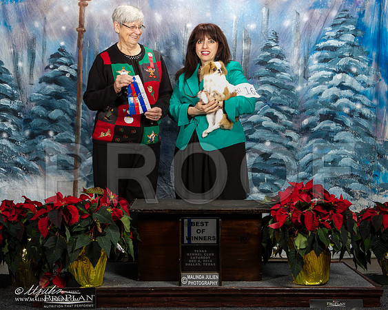 _ST_8534-DallasDec2014-HR3