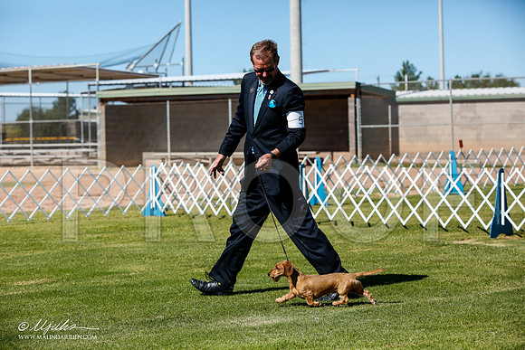 _JJ_4718-AlamogordoOct2014-HR3