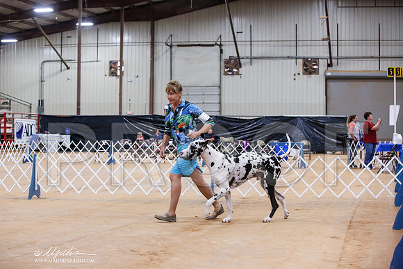 _JJ_9017-TxArJun2014-HR3