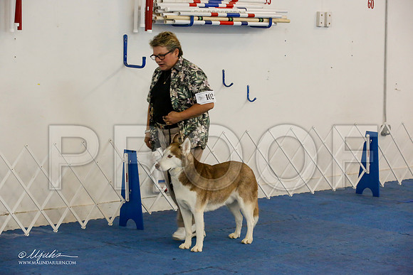 _M3_7846-AddisonHuskyMar2015-HR3