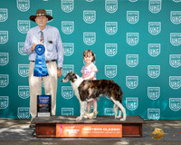 Iola Stetson UKC Longview WA 2024