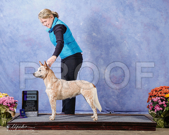 _CL_4874-2-Hstnnov2014-HR3