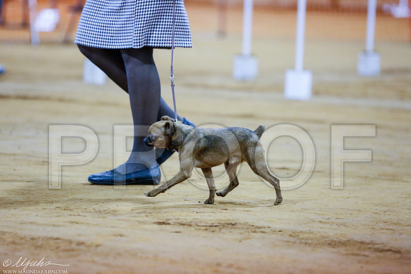 _RH_1192-MarshDec2014-HR