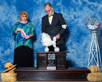 Poodles Toy #11 Sun NC BOS Baker Bobbi Jo Judge Ms Betty Nelson Pollock