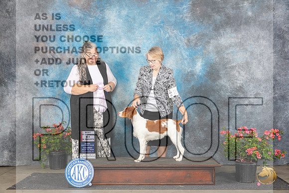 Brittany #22 Sat BOSSweeps Judge Rebecca Parchman__JP_5060_San Antonio_2024_HR3