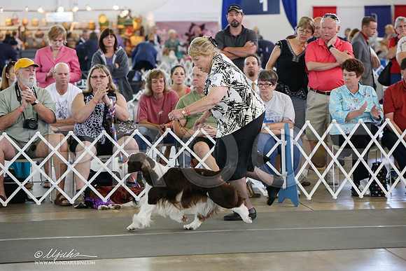 _JJ_1527-DallasJul2014-HR3