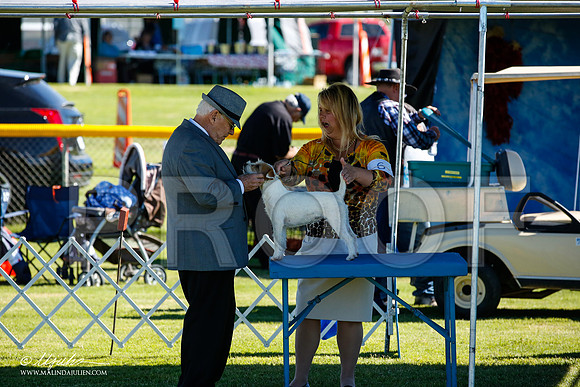 _JN_4430-AlamogordoOct2014-HR3