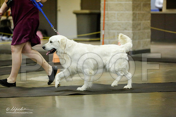 _RH_1049-BeltonJan2015IABCA-HR3