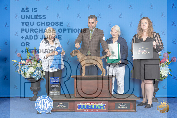 Border Terrier #9 SUN G1 Judge Nancy Liebes__JP_0741_Houston_2024_HR3