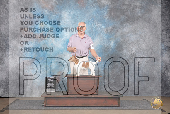 Jack Russell Terrier #203 Sat AltBIS Judge Jennifer Landers__JP_2766_LongviewTX_2024_HR3